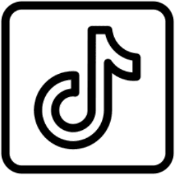 TikTok Ads